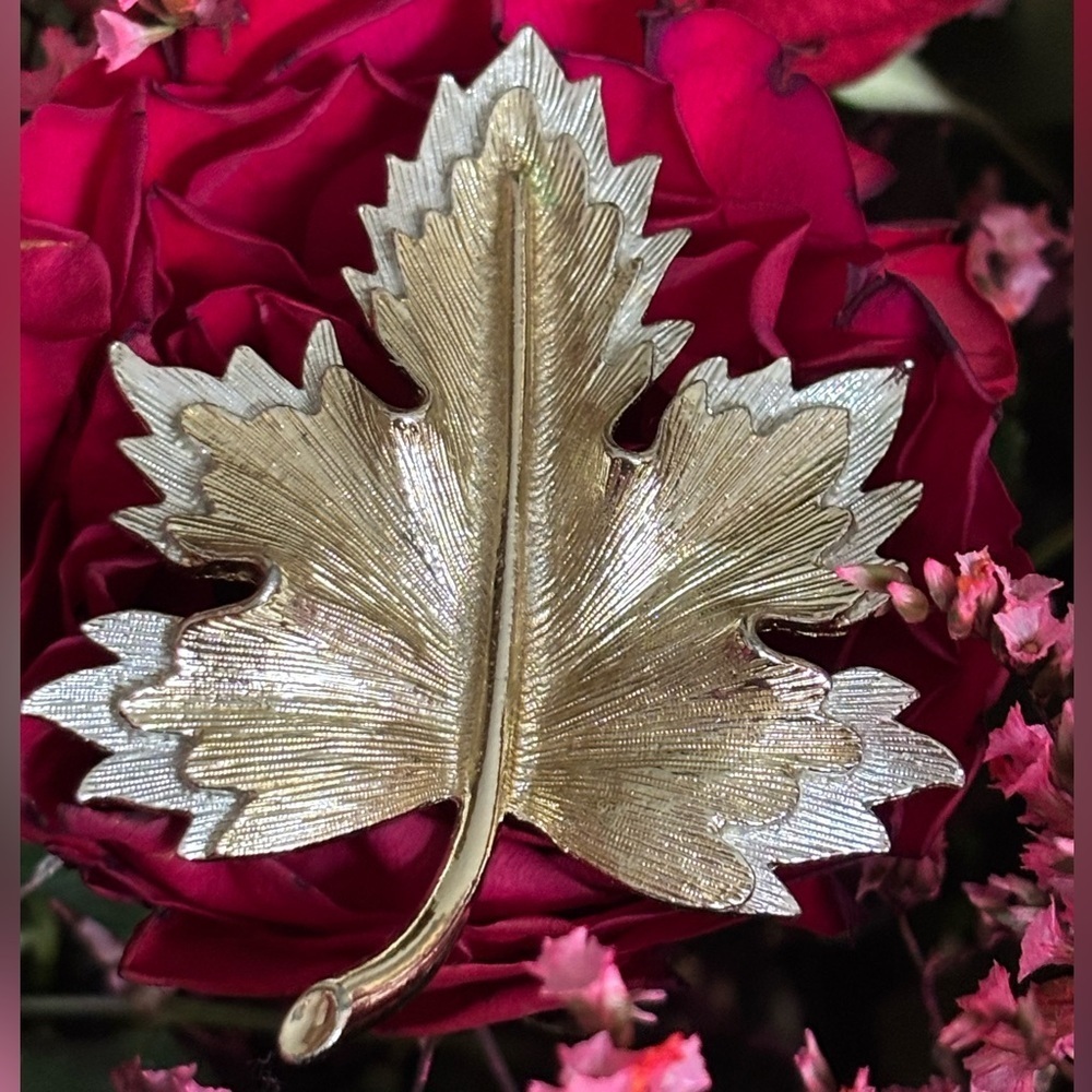 ABALONE MOTHER OF PEARL DRAGONFLY & GOLD MAPLE LEAF VINTAGE SARAH COVENTRY SET - Picture 2 of 5